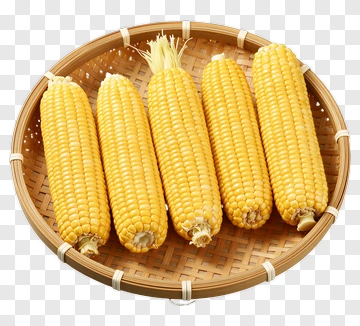 Fresh Yellow Corn In Basket PNG