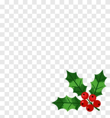 Holly With Red Berries PNG