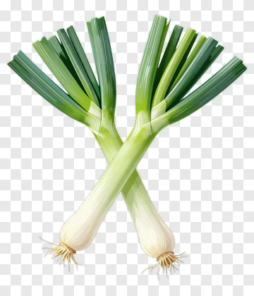 Leek PNG