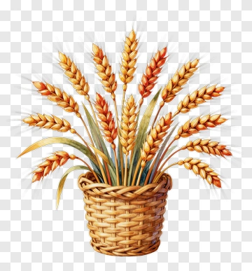 Happy Baisakhi Wheat Basket PNG