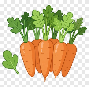Fresh Carrots With Greens PNG