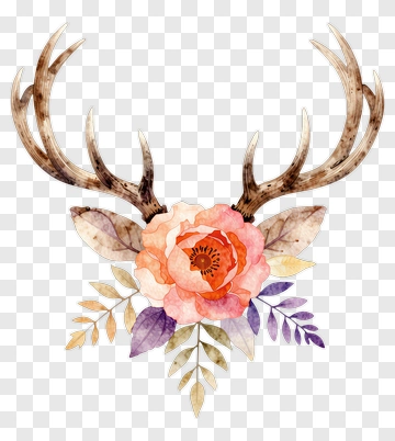Deer Antlers With Flower And Leaf PNG