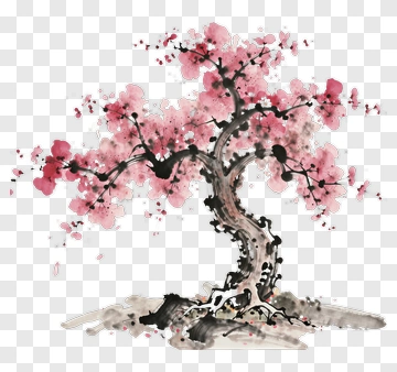 Plum Tree In Blossom PNG