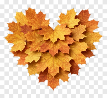Heart Shape Made Of Fall Leaves PNG