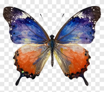 Butterfly With Cosmic Wings PNG