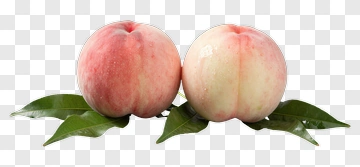 Fresh Peaches With Leaves PNG