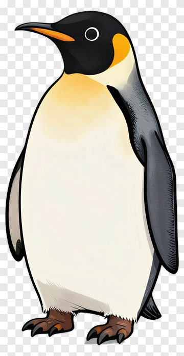 King Penguin Standing PNG