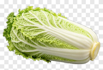 Fresh Cabbage With Crisp Leaves PNG