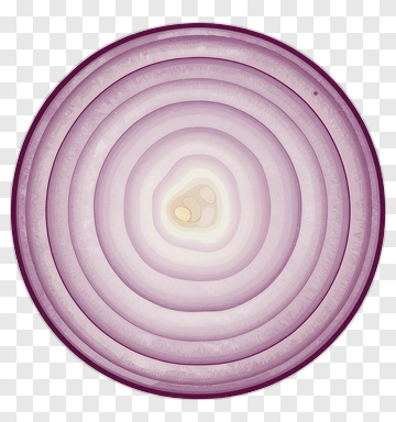Cross-section Of An Onion PNG