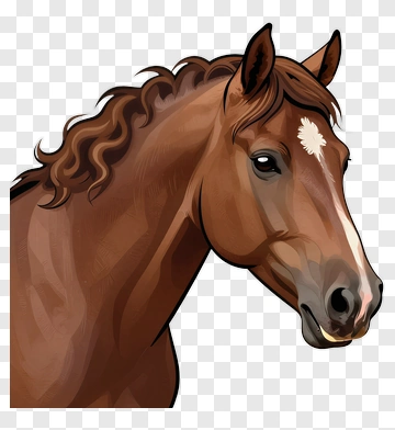 Brown Horse Portrait PNG