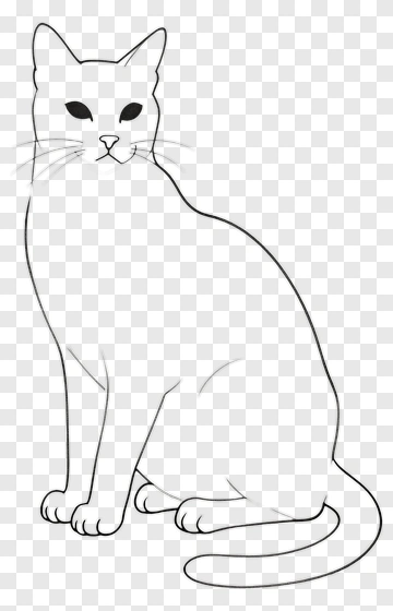 Cat Line Drawing PNG