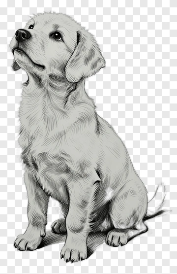 Cute Puppy Sitting PNG