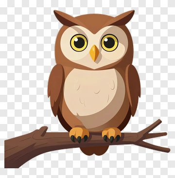 Cute Cartoon Owl Perched On Branch PNG