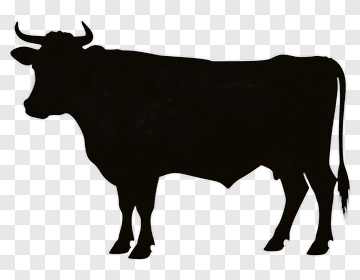 Black Bull Silhouette PNG