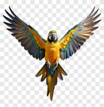 Yellow And Blue Parrot With Spread Wings PNG
