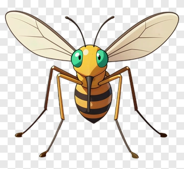 Cartoon Mosquito PNG