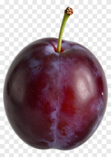 Plum With Stem PNG