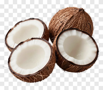 Coconut PNG