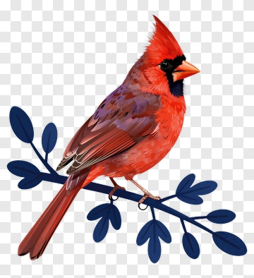 Red Cardinal On Branch PNG