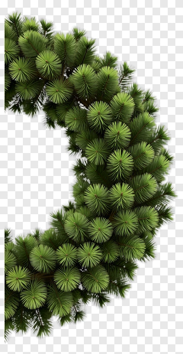 Pine Wreath PNG