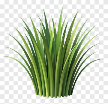 Green Grass Cluster PNG