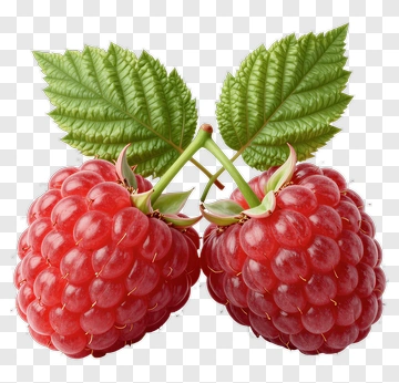 Two Raspberries With Leaves PNG