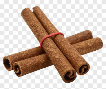 Cinnamon Stick Bundled With Red Rubber Band PNG
