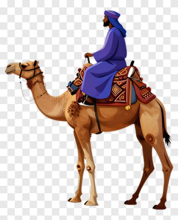 Man Riding Camel Near Pyramid PNG