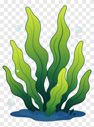 Cartoon Seaweed With Bubbles PNG