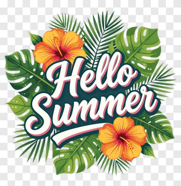 Hello Summer Tropical Greeting PNG
