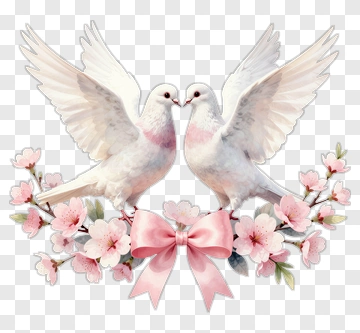 Two Doves With Cherry Blossoms And Bow PNG