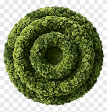 Spiral Of Green Plants PNG