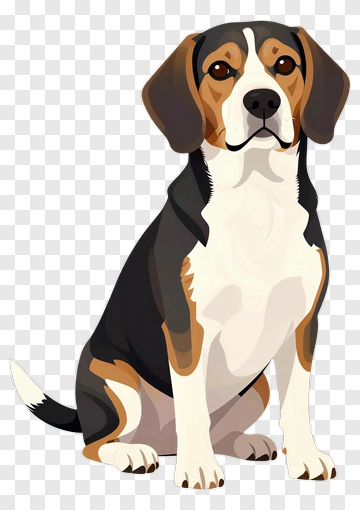 Beagle Sitting PNG