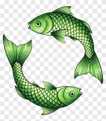 Two Green Koi Fish In Yin Yang Formation PNG