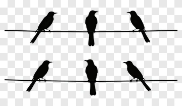 Silhouettes Of Birds On Wire PNG