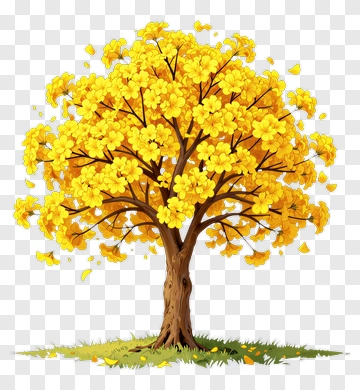 Yellow Flowering Tree PNG