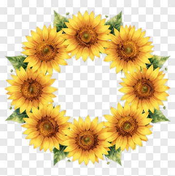 Sunflower Wreath With Green Leaves PNG