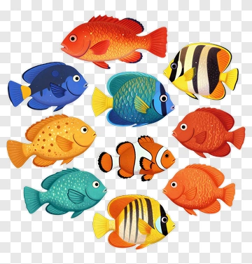 Colorful Fish Collection PNG