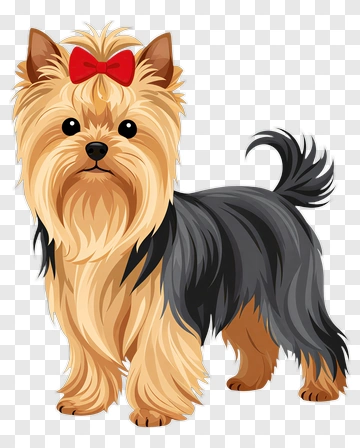 Yorkshire Terrier With Red Bow PNG