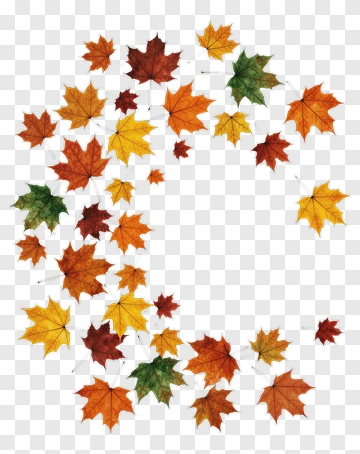 Autumn Maple Leaves In Watercolor PNG