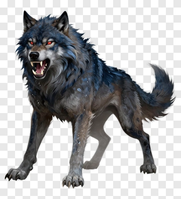Fierce Wolf PNG