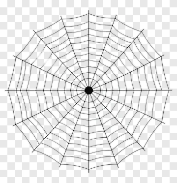 Spider Web PNG