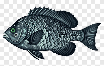 Detailed Blue Fish Illustration PNG