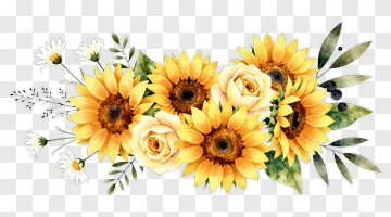 Watercolor Flower Arrangement With Sunflowers And Roses PNG