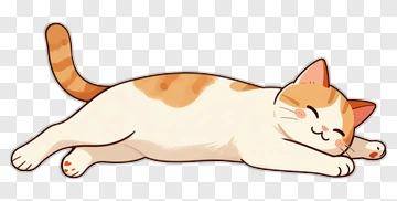 Cute Orange And White Cat Sleeping PNG