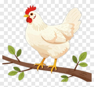 Cartoon Chicken On Branch PNG