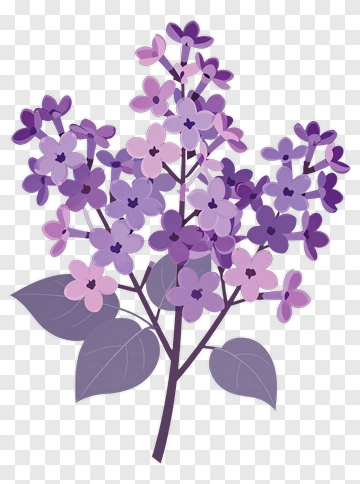 Lilac Flowers Bouquet PNG