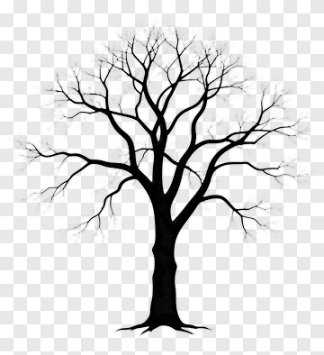Silhouette Of A Tree PNG