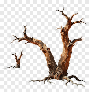 Dead Tree In Desert PNG