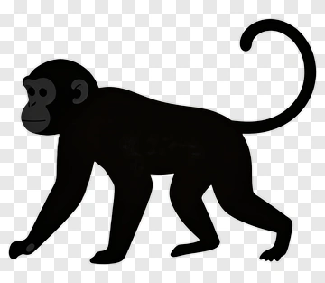 Monkey Silhouette PNG